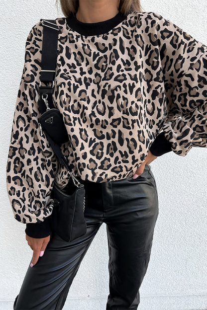 Casual Leopard Print Zebra Print Contrast O Neck Hoodies